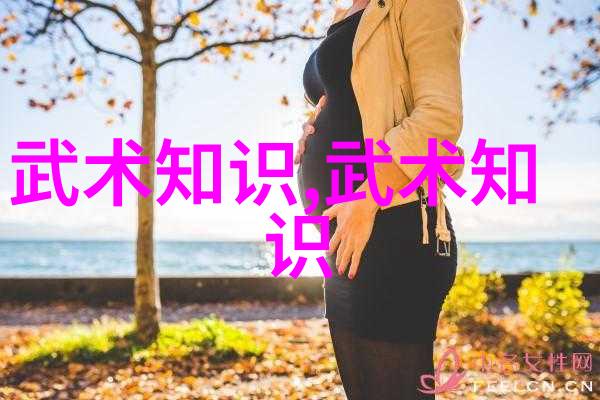 剑破星辰武林绝学之巅峰
