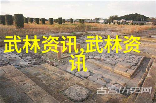 刃锋破浪揭开那些神奇剑法背后的奥秘
