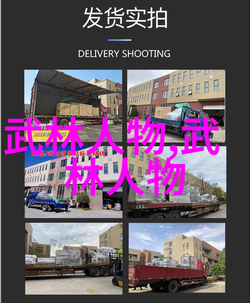 武术学习 - 青春不老探索学武术的最佳年龄