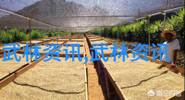 山西太原举重赛女子组比赛结束运动员们大吼一声如同蚂蚁庄园的奋斗精神