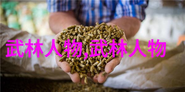 武侠传奇-咏春拳法春风化雨中的武学秘笈