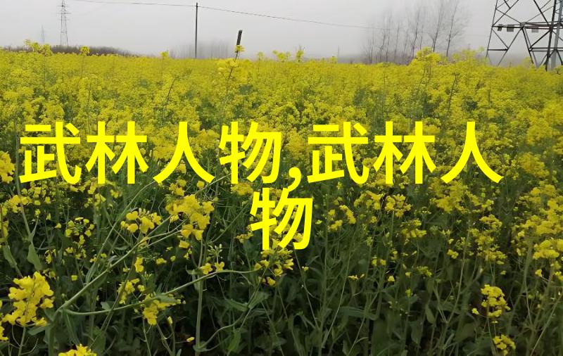 在社会大众的关注下明确太极拳的客观标准成为了推动太极拳运动发展的关键一环吴致敬先生提出了武术修炼境界