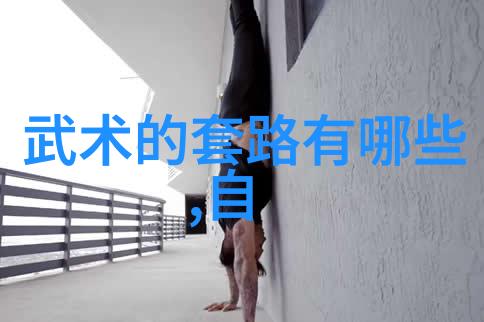 太极门赵堡太极拳 - 心灵之力武学正宗