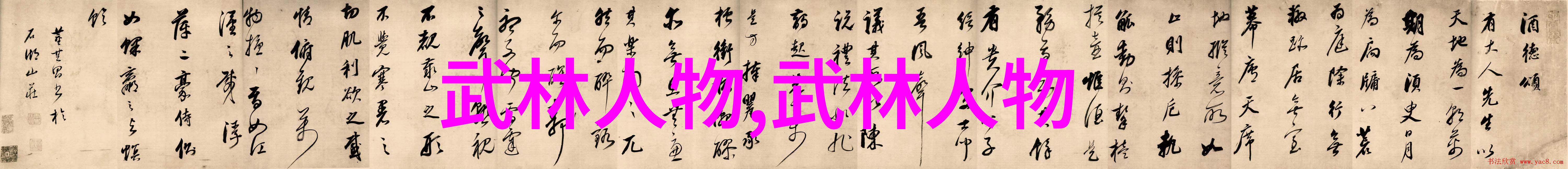 掌握天下之拳武功秘籍大全中的精髓与实战应用