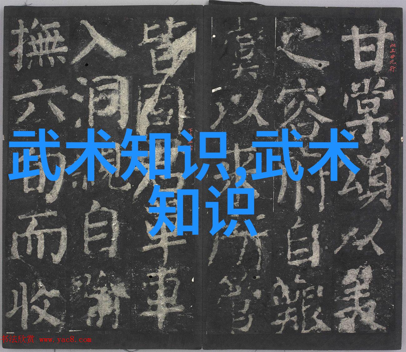 武术资料网揭秘杨式太极拳深度练习技巧