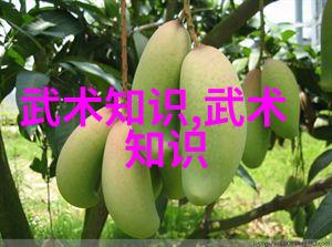 神秘古怪的幻兽世界一怪二圣三尸四奇五绝