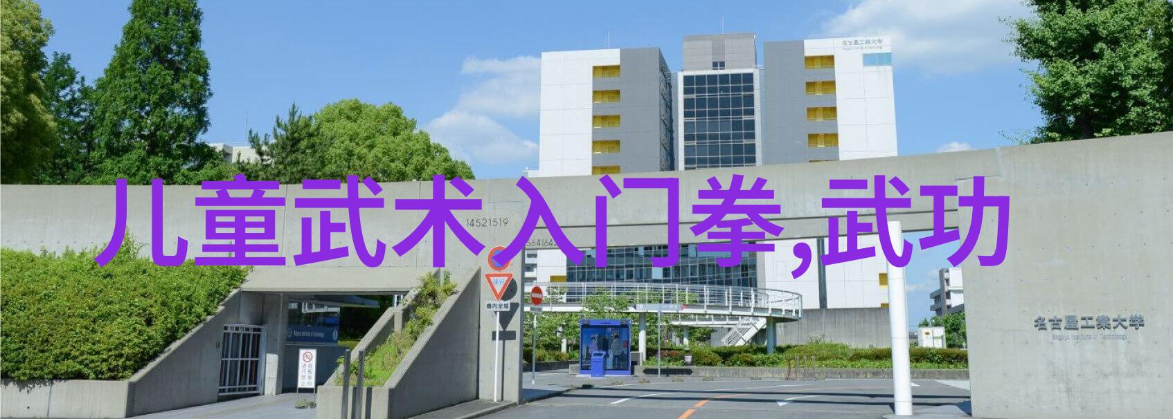 男神驾驭极速车辆的惊险旅程