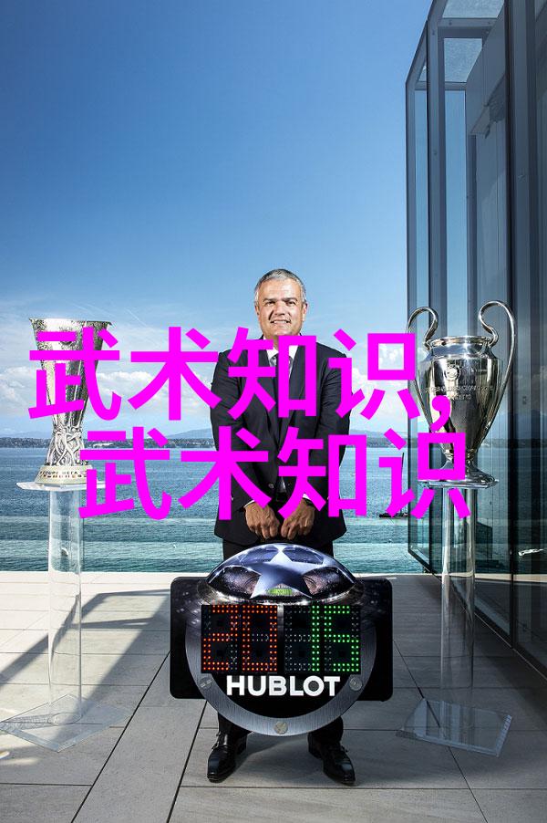 超越限制 通过网络资源实现个性化的武艺提升计划
