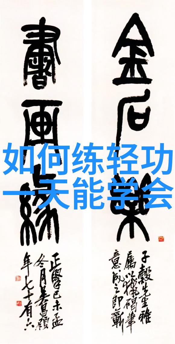 格斗之道如何通过系统训练提升实战力