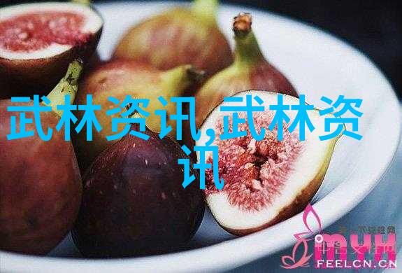 小说武林门派名字大全 - 剑破天穹武林各门派秘籍全集
