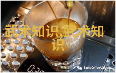 BMC自行车风暴萨甘在环法第11赛段的突围战中夺得单日冠军佛鲁姆紧随其后争取每一秒优势