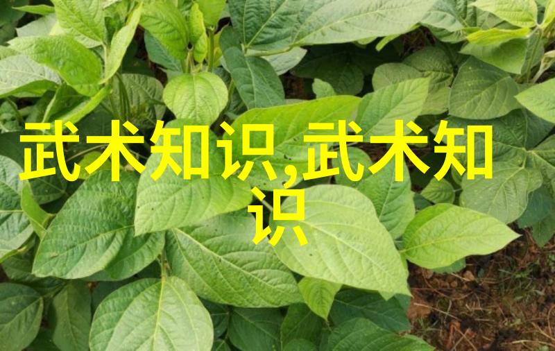 横练功夫排名中国武术比赛