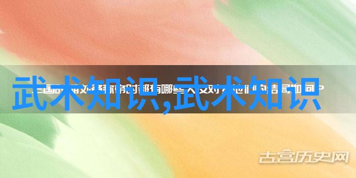 李雅轩太极拳论汇编武功秘籍网中的武学之宝