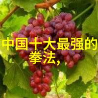 武功门派谱系全览揭秘中华武学世界的神秘与辉煌