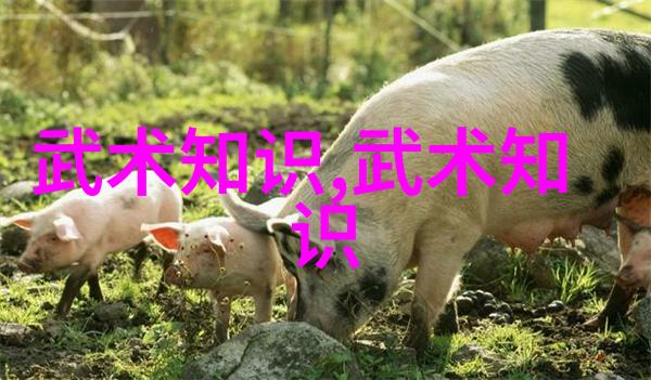 宇宙之刃探索最强武功的奥秘