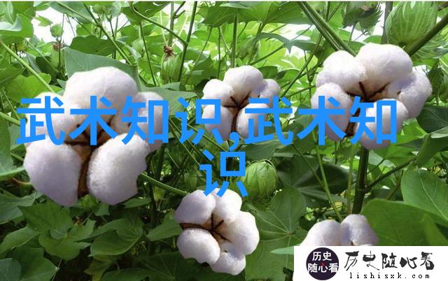 新金瓶梅免费观看前五集的诱惑