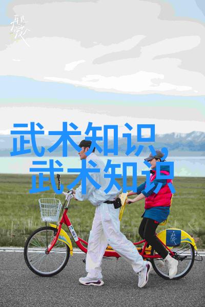 掌握武林秘诀武术的12个基本动作与其背后的艺术与实战