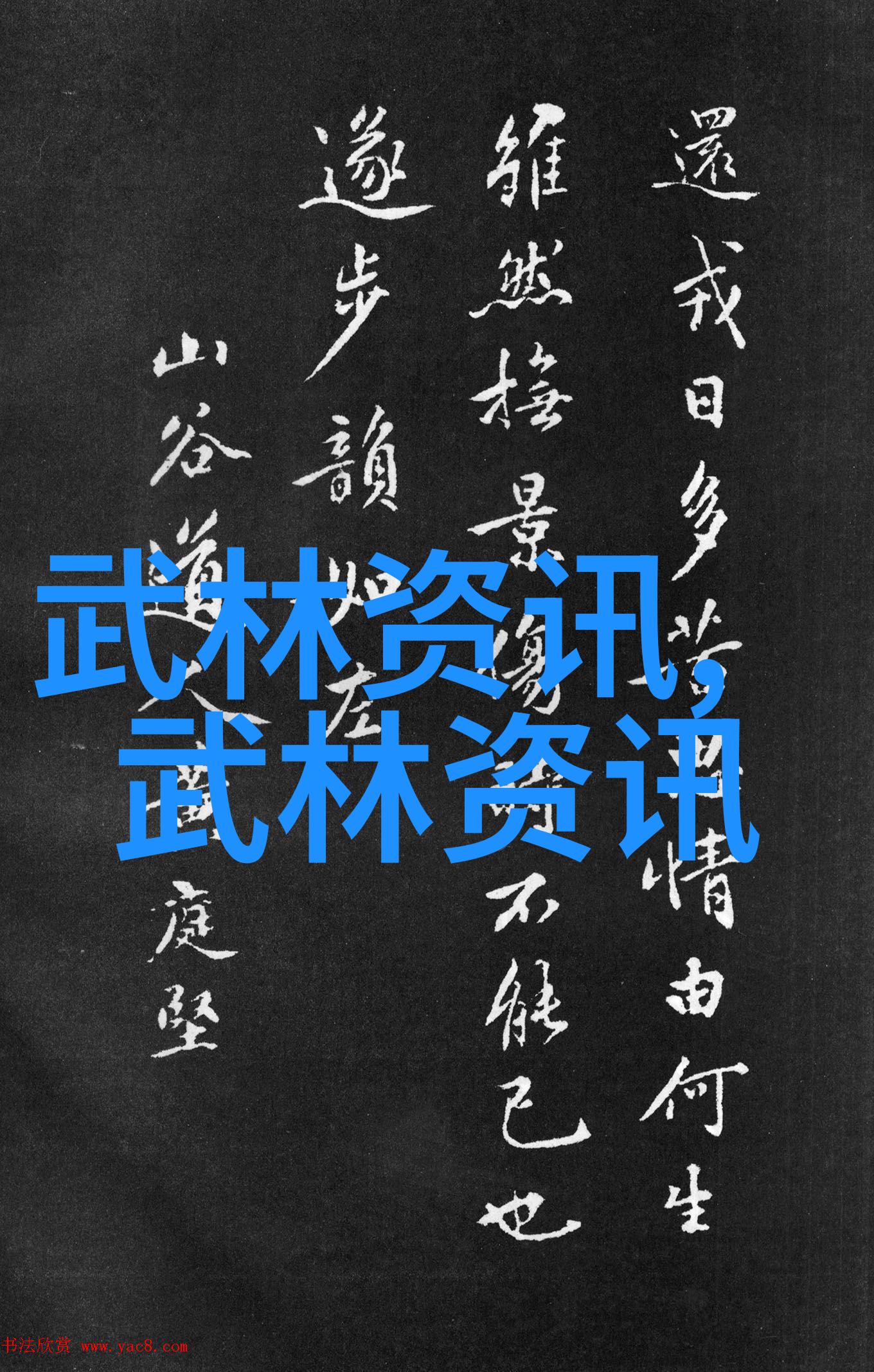 武当全真龙门派的传人寻觅江湖中的秘密继承者