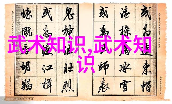 横练功夫排名揭秘武林中各派高手的实力强弱