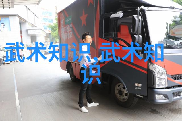 王文贤探索金庸小说武功之精髓太极拳套路的反复核心要素