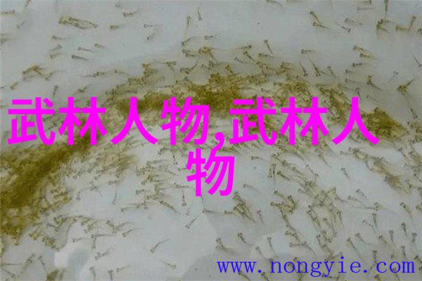 太极拳静和动姿势在社会简化24式分解教学中扮演的角色