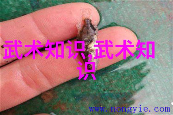 古风仙盟寻觅传说中的咏语