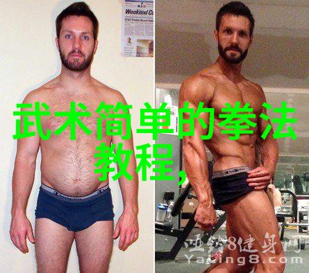 武术之巅深入理解武功秘籍大全中的拳法精髓