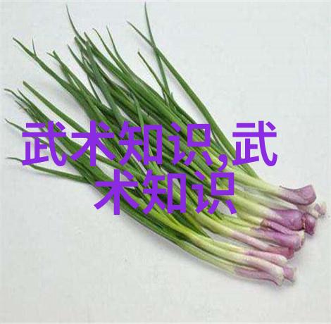 探索高清动态图的艺术魅力5次视觉体验之旅