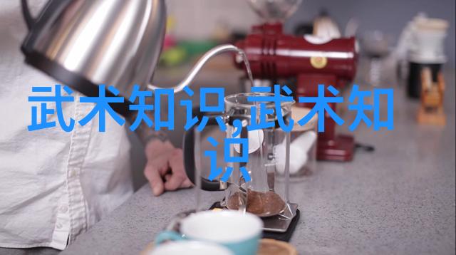 死或生沙滩排球2中哈之战突破拦网犹如心脏紧缩的关键一刻