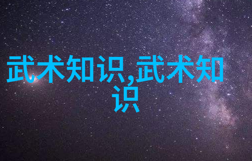 中国武术秘籍书-揭秘千年武林古籍中的内功法与兵器技巧