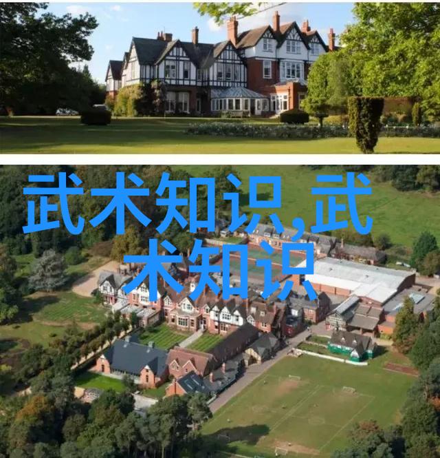 气运缤纷色彩斑斓最新一代中大陆上领风骚的名门正宗