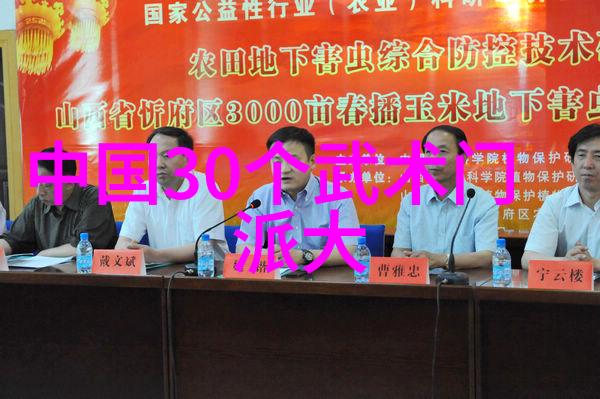 女儿帮温柔与力量的和谐融合
