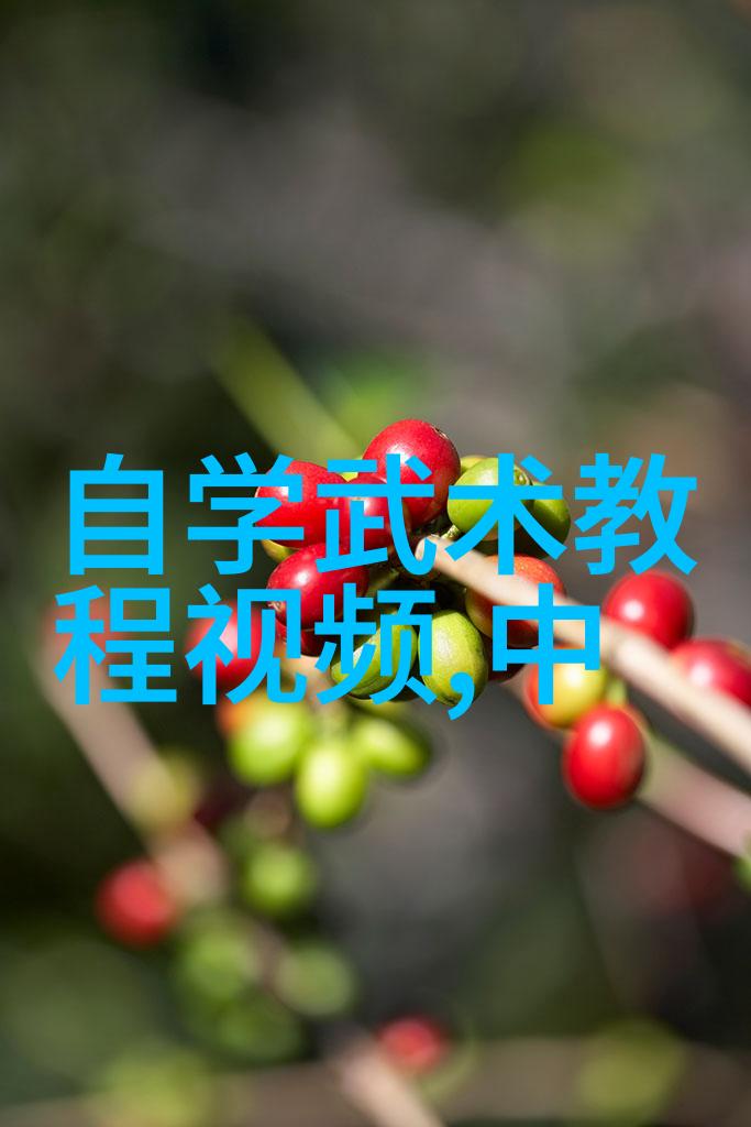 霸气文雅八卦门形意八卦掌在社会的舞台上展开