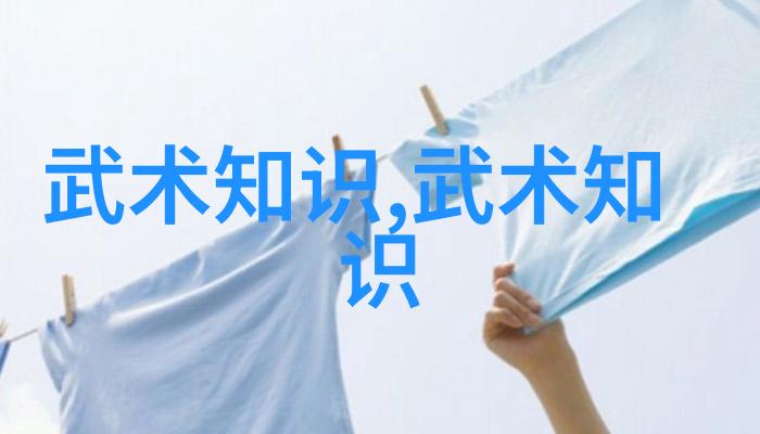 古风帮派田家太极拳