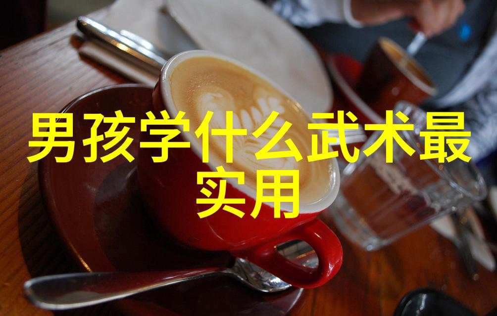 金庸武林风云杨式太极拳门派秘籍