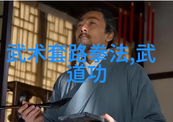 中国武术十大拳法之巅古韵不朽的技艺序列