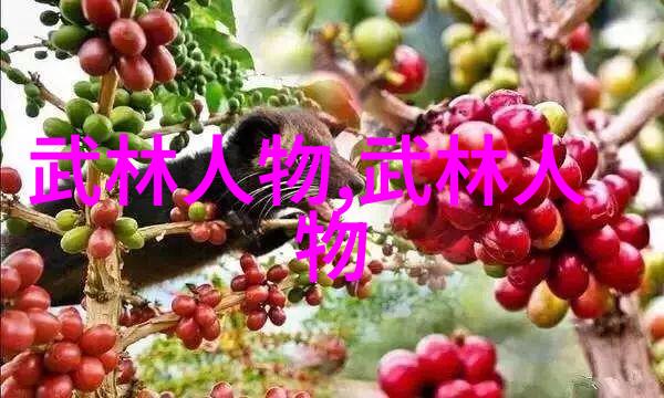 静听时光坐下来自己慢慢摇视频的艺术