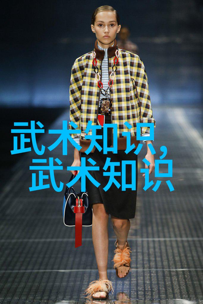 什么是中国传统武术拳法中最著名的流派