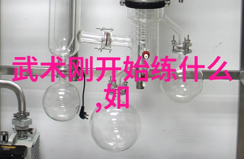 古代最强武功太极与生活-龚勤悦