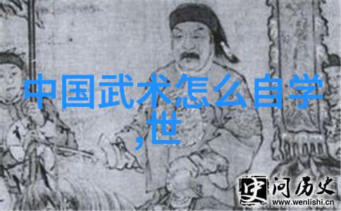 探秘贵州武林门派揭秘古老传统与神秘风范