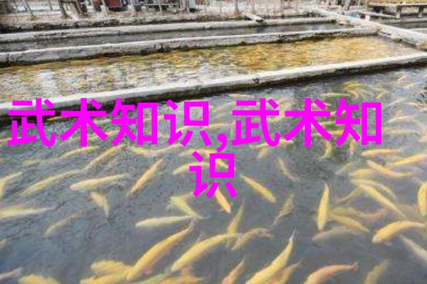 海贼王之最强副船长我是如何遇见的那个让人心动的海盗大哥