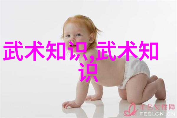 家中武术练习指南提升身体素质增强意志力