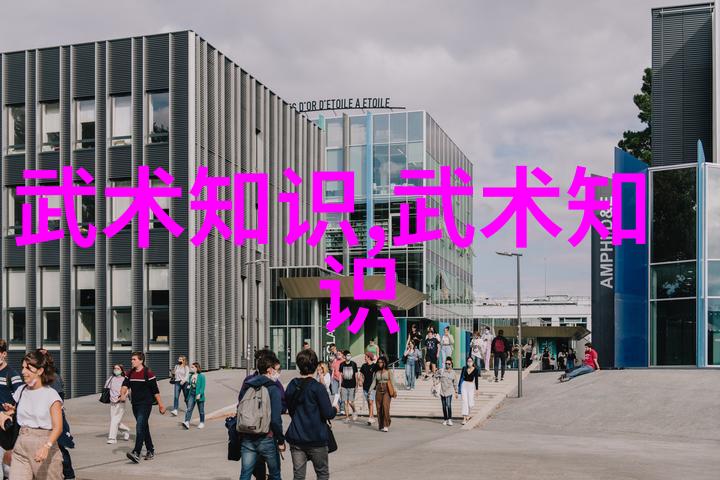 武术探秘揭秘四十式太极拳的独特魅力与视频口令解读