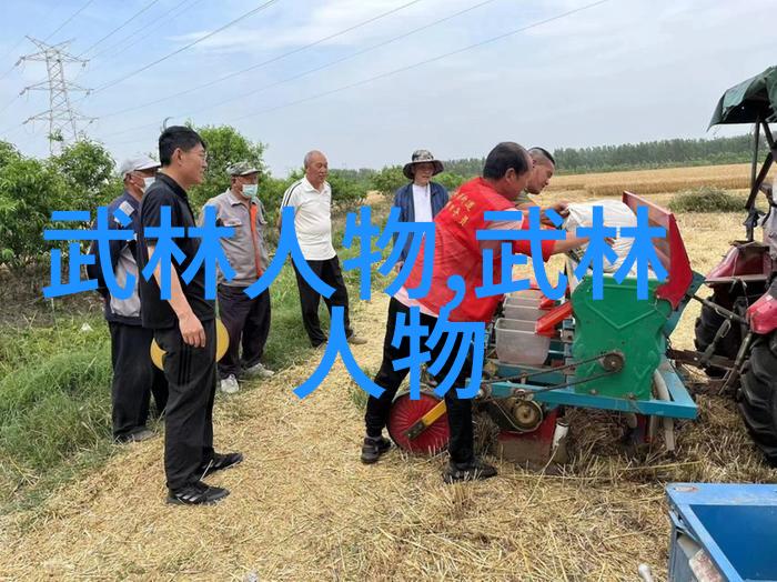 空手道之谜解析一门不需要教练的日本武术