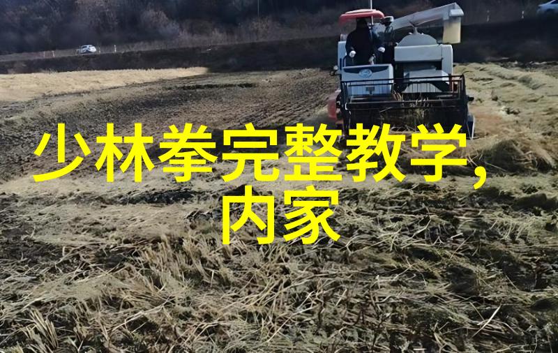逆袭先锋队从废柴到英雄的传奇