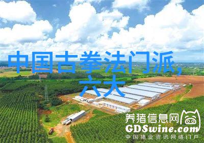 在现代社会咏春拳法的应用场景有哪些变化或创新