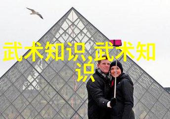 探究形意拳防御体系中的致命空隙分析最具威胁的对手拳法