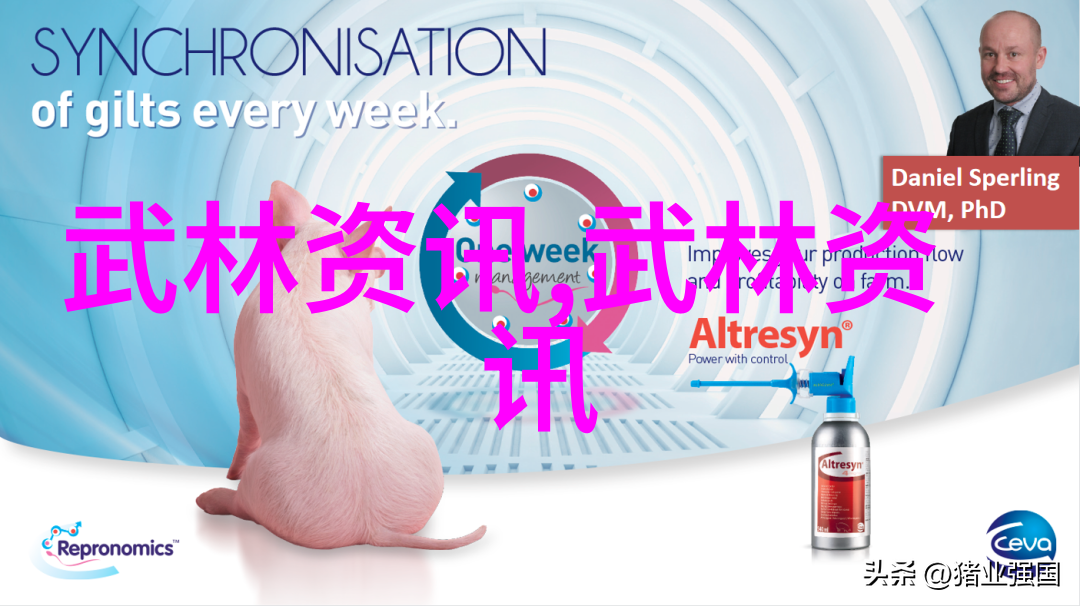 古今中外拳脚相逢详细介绍各类武术活动