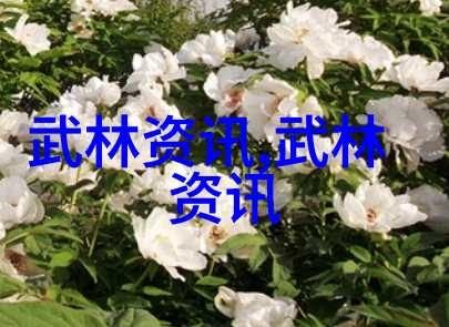 刀影幽深用刀的武林门派探秘