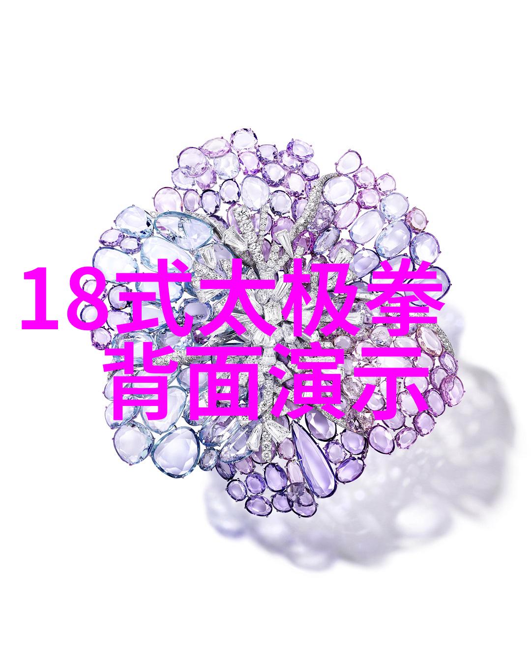 拳派纂录绵拳堂